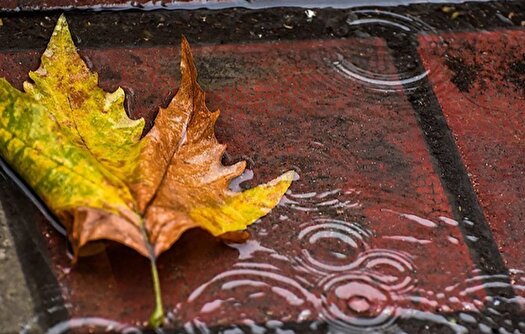 بارشهای پراکنده در شمال کشور