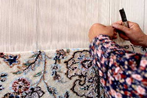 استفاده نشود لطفا