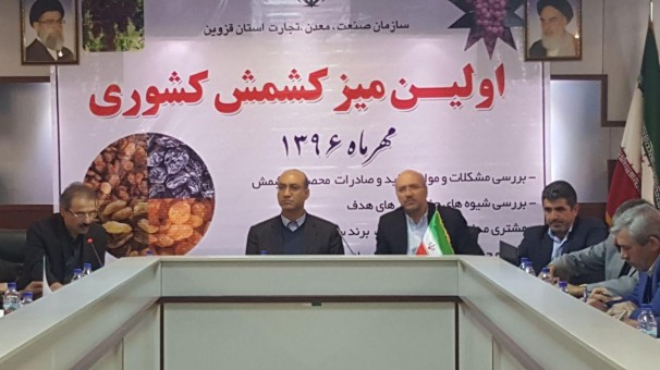 استان قزوین یکی از قطب های تولید انگور کشور+فیلم