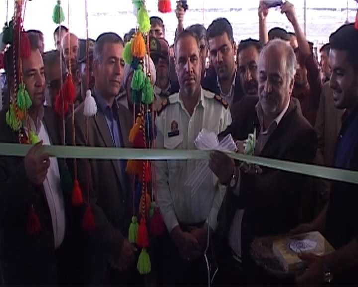 برگزاری اولین جشنواره کرفس کوهی در فریدونشهر