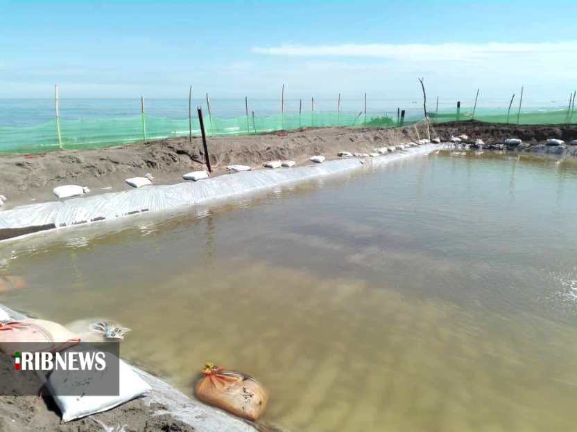 تکثیر ذخایر استخوانی خزر ؛ خارج از دریا اما طبیعی