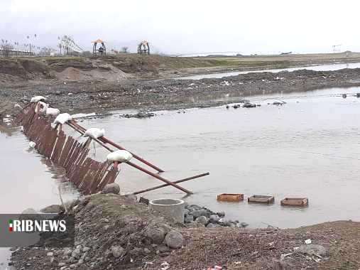 تکثیر ذخایر استخوانی خزر ؛ خارج از دریا اما طبیعی