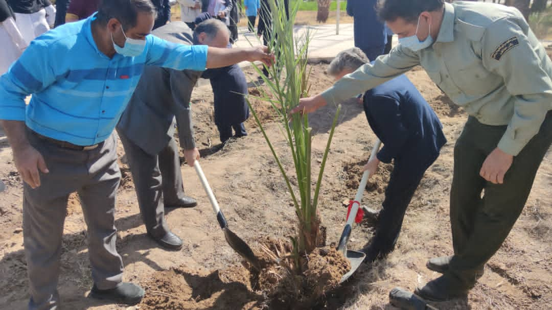 نام گذاری فضای سبز بیمارستان ولی عصر بافق به نام هر بخش