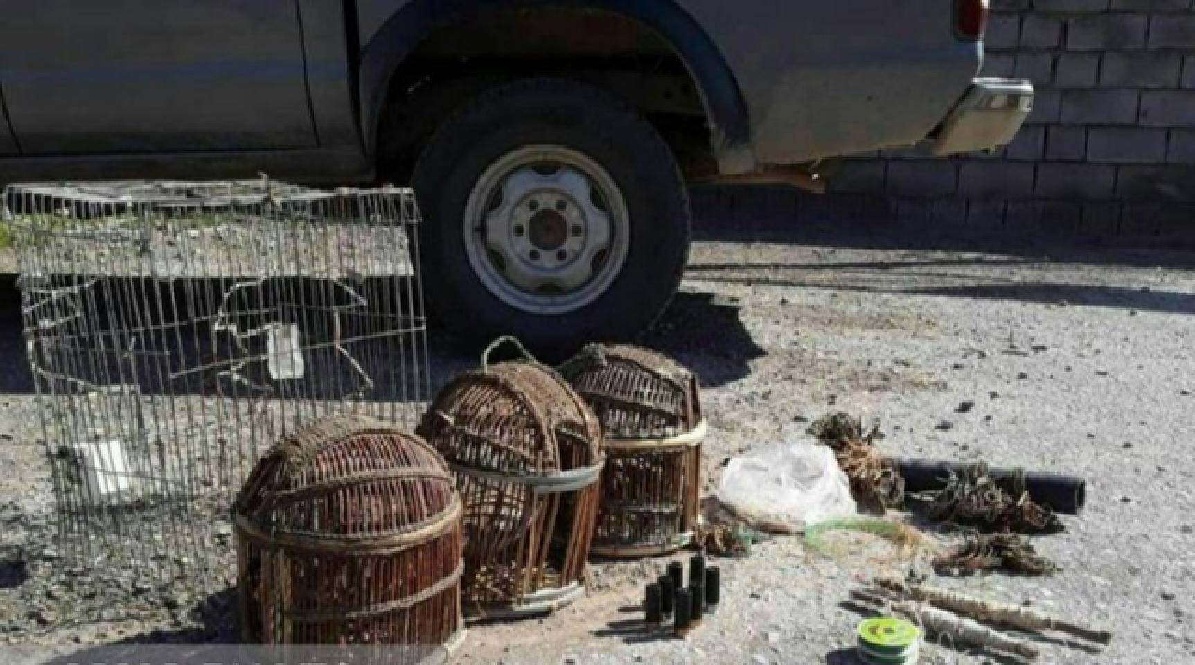 دستگیری آموزش دهنده  نحوه صید پرندگان در شبکههای مجازی در سرخس دستگیری آموزش دهنده  نحوه صید پرندگان در شبکههای مجازی در سرخس