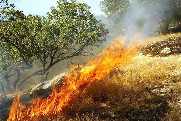 لزوم هوشیاری مردم برای جلوگیری از حریق مراتع