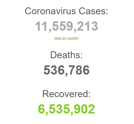 شمار جان باختگان در جهان به مرز ۵۴۰ هزار نفر نزدیک شد