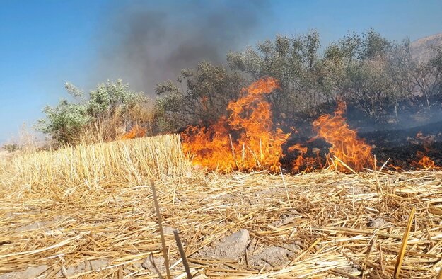 وقوع آتش سوزی جنب گمرک و محل نمایشگاه بین المللی اراک