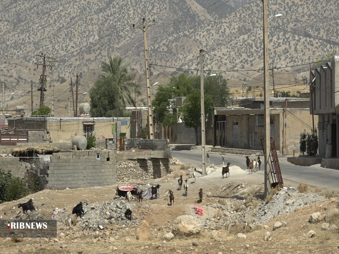 بورس درآمد اول و شغل دوم مردم روستای مال ملا