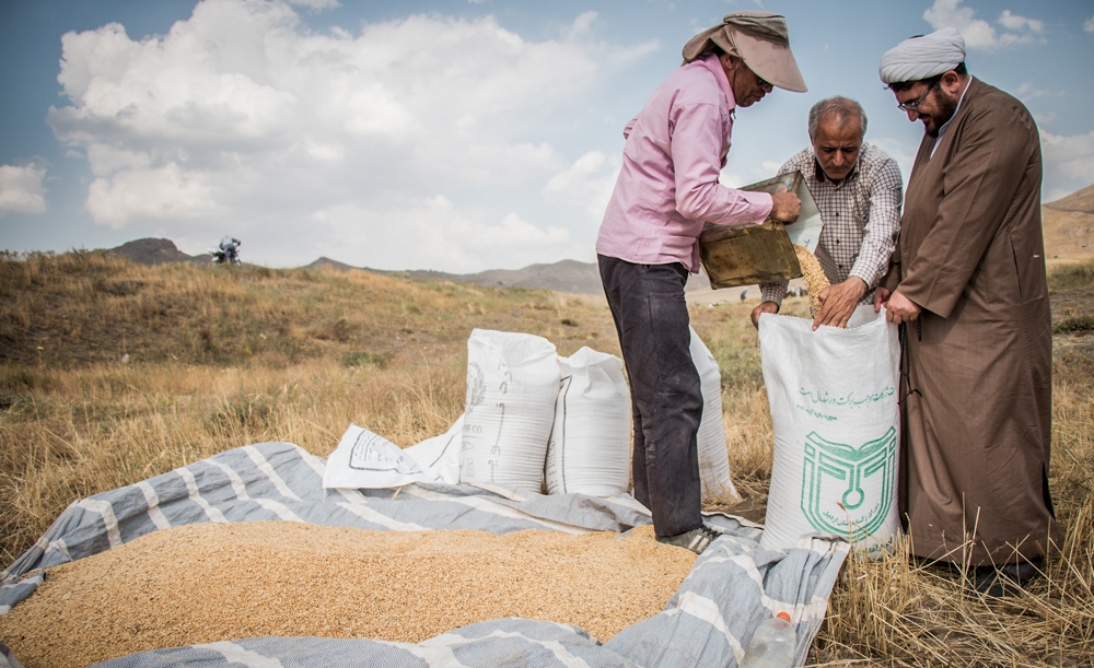 بورس درآمد اول و شغل دوم مردم روستای مال ملا
