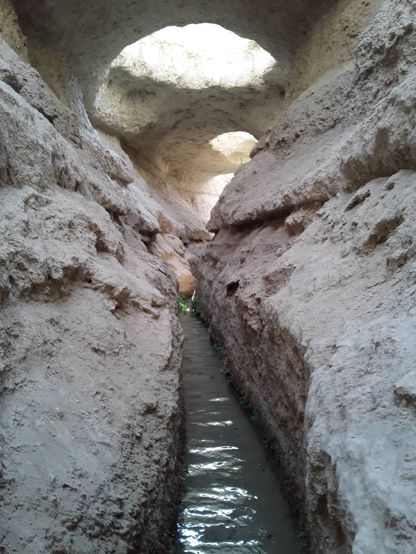 قنات تاریخی نبادان، حیات بخش سرو ابرکوه قنات تاریخی نبادان، حیات بخش سرو ابرکوه