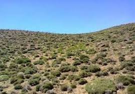 اختصاص ۶۴ میلیارد ریال اعتبار به مقابله با بیابانزایی اختصاص ۶۴ میلیارد ریال اعتبار به مقابله با بیابانزایی