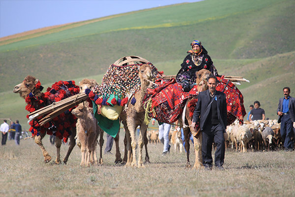 کسب رتبه اول تولید شیر در کشور