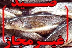 دستگیری چهار صیاد متخلف در دزفول