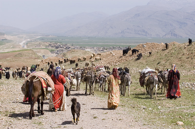 کوچ بهاره عشایر از هرمزگان