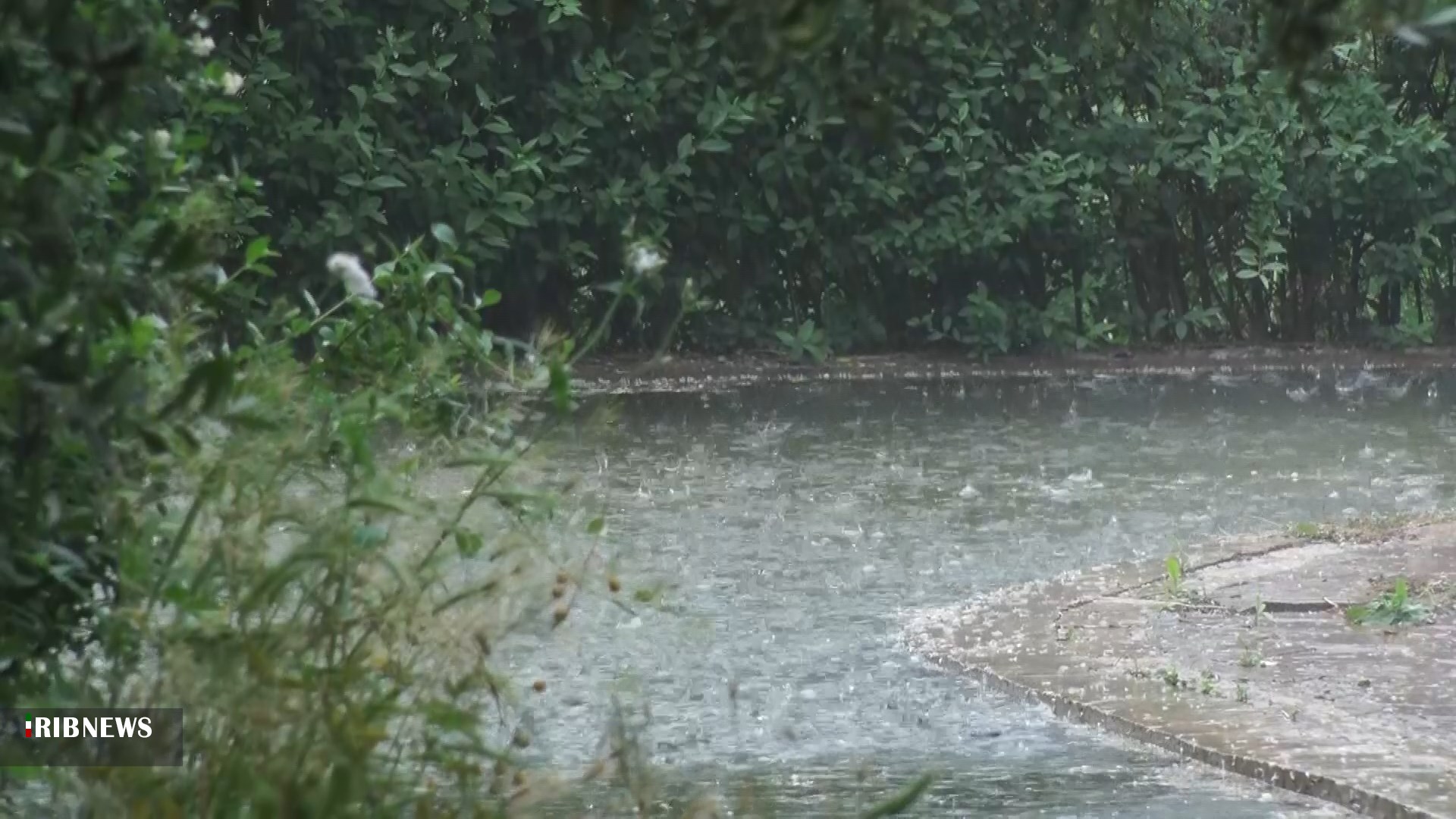 بارش باران بهاری در مناطق مختلف آذربایجان شرقی
