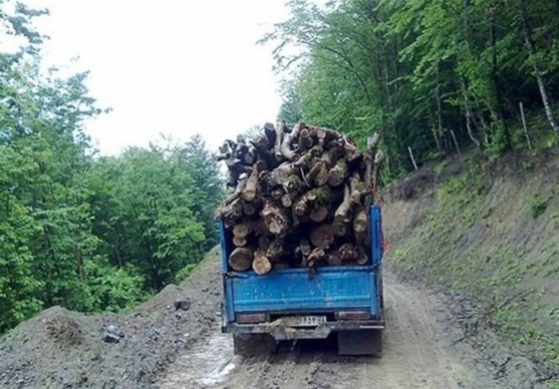 ۲.۵ تن چوب جنگلی قاچاق در خلخال کشف شد