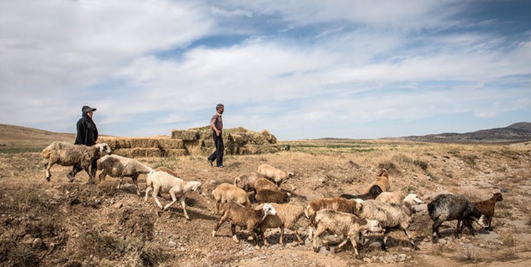 ۹۶ درصد چهارمحال و بختیاری درگیر خشکسالی