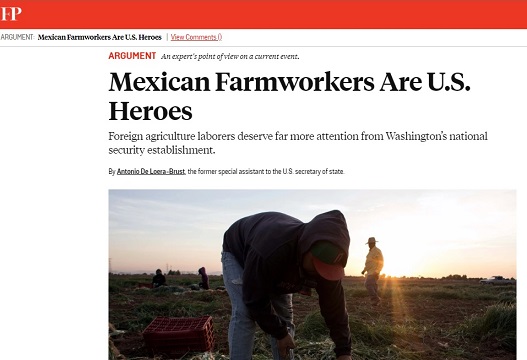 چرا ستونهای کشاورزی امریکا، امریکایی نیستند؟ چرا ستونهای کشاورزی امریکا، امریکایی نیستند؟