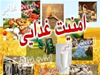 تلاش مضاعف برای دستیابی به امنیت پایدار و اقتدار غذایی در سال جدید