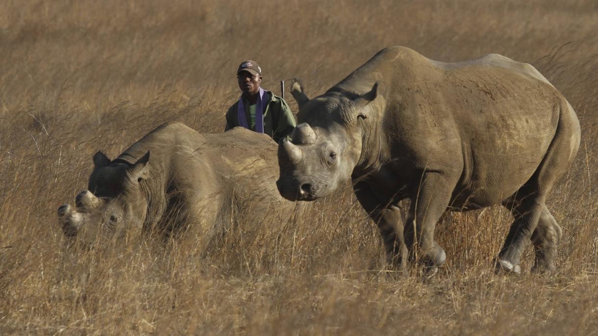 روزی برای تکریم محیط بانان یا حافظان زمین و طبیعت