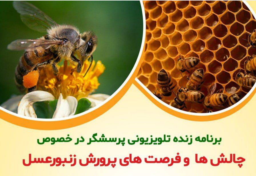 بررسی چالش‌ها و فرصت ها‌ی پرورش زنبور در «پرسشگر»