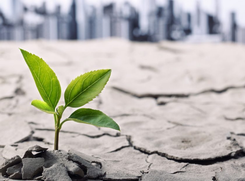 چطور تاب‌آوری را یاد بگیریم؟