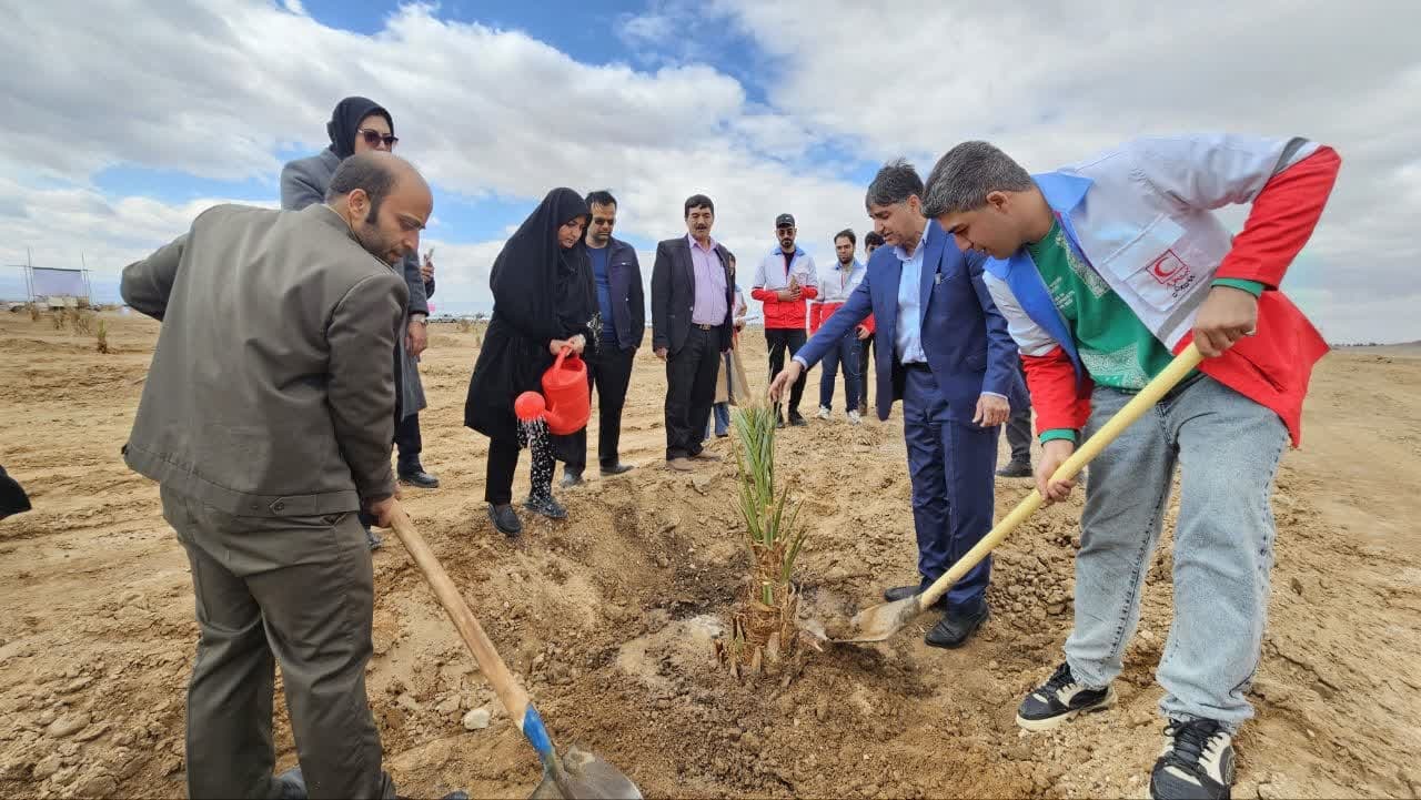 درختکاری در نخلستان نمونه گردشگری بافق