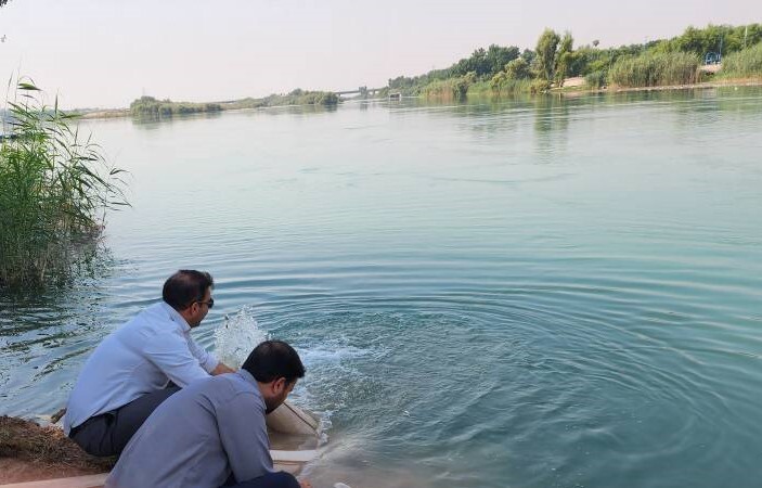 رهاسازی ۱۸۰ هزار قطعه بچه ماهی در رودخانه دز