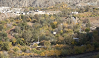 طبیعت پاییزی روستای آلوت مقصد گردشگران