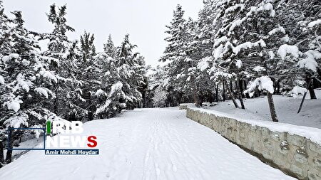 بارش برف زمستانی در تهران / ۳۰ دی ۱۴۰۴