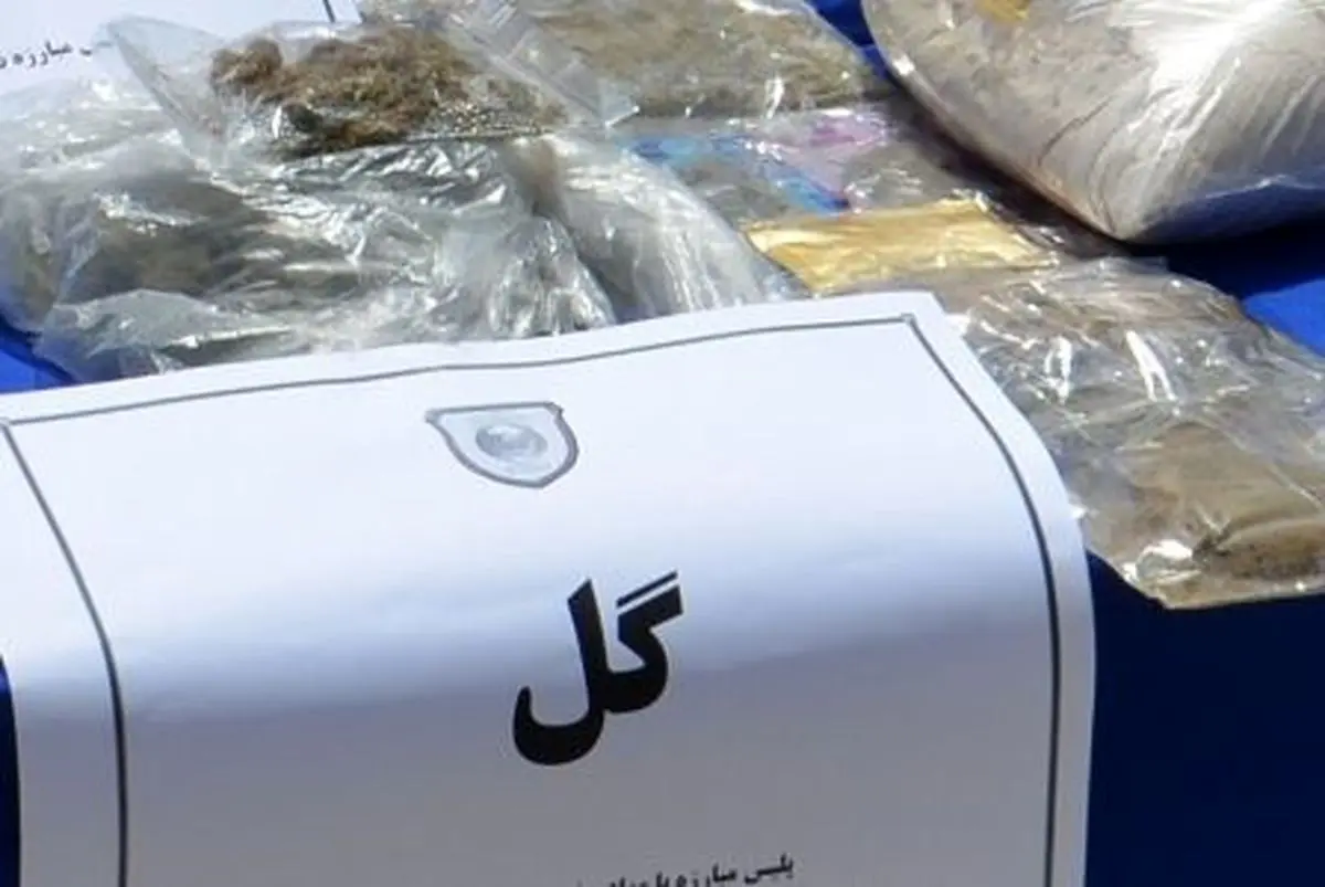 کشف ۴۴کیلوگرم «گُل» توسط پلیس پایتخت کشف ۴۴کیلوگرم «گُل» توسط پلیس پایتخت