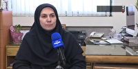 غنای فرهنگی زبان فارسی در هوش مصنوعی لحاظ نشده است