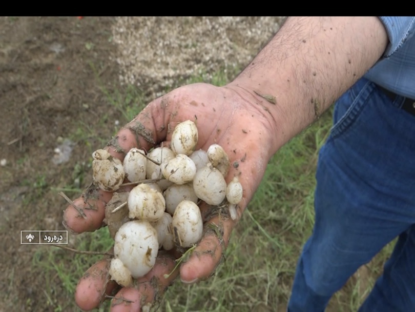 هواشناسی اردبیل هشدار زرد صادر کرد