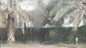 رطوبت و شرجی در راه آبادان و خرمشهر