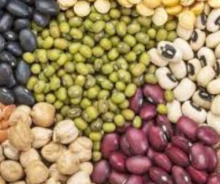 ضبط حبوبات قاچاق در ارومیه