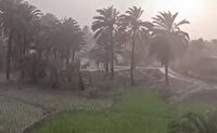 گزارش بارندگی از ۲۴ ایستگاه هواشناسی سیستان و بلوچستان