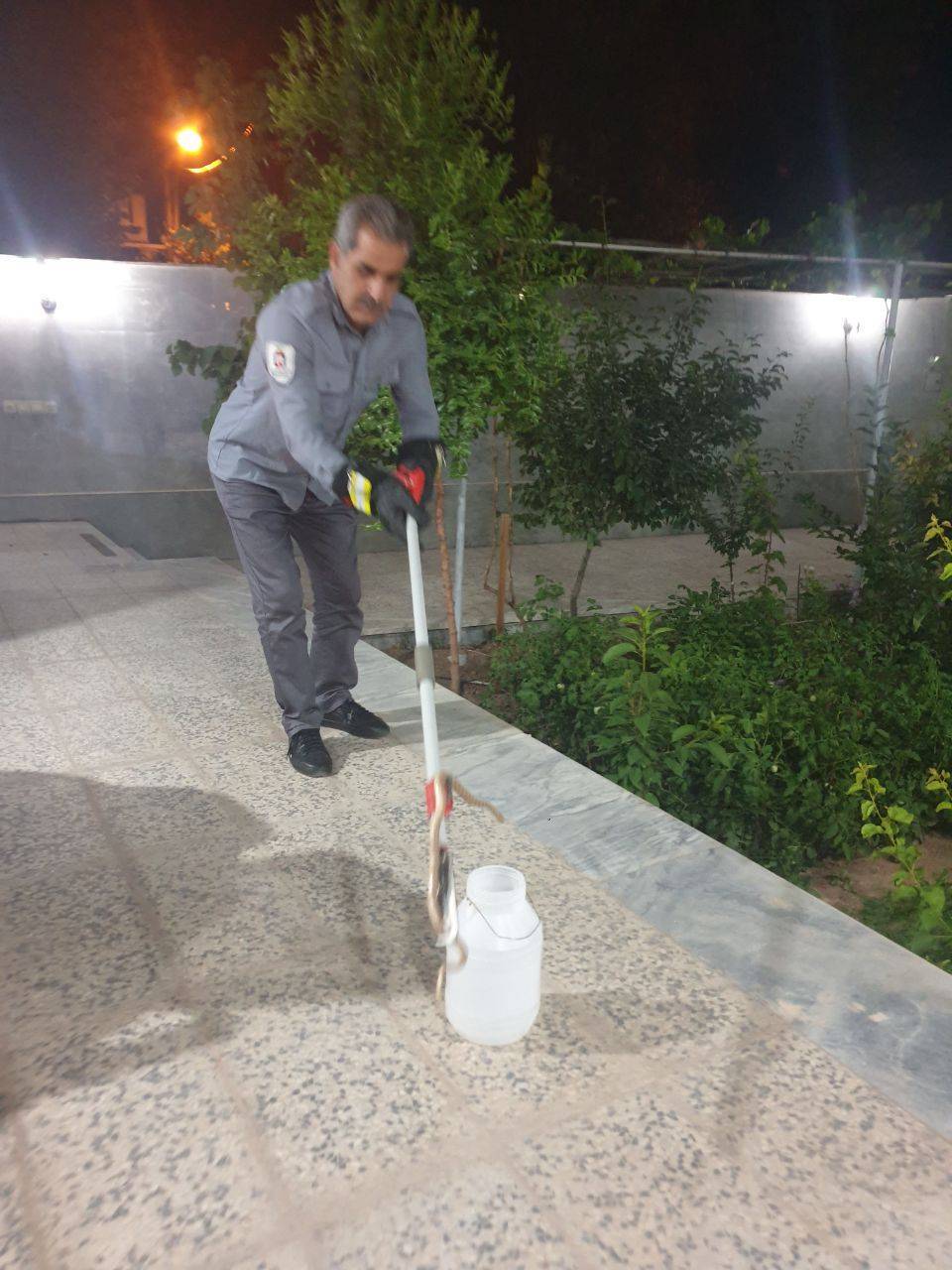 خودداری از کشتن مارها