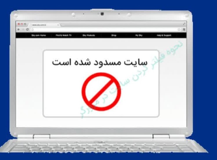مسدود کردن يک صفحه مجازی هنجارشکن در دلفان