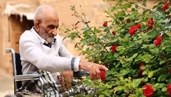 مستند «یک خانم محترم»  از شبکه مستند سیما