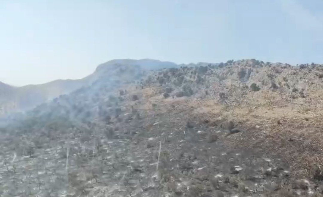 آتش‌سوزی «گچان» مهار شد