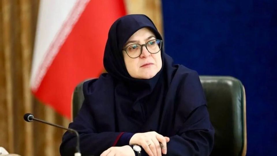 سخنگوی دولت: گزارش دقیق حادثه کوار به هیئت دولت ارائه می‌شود
