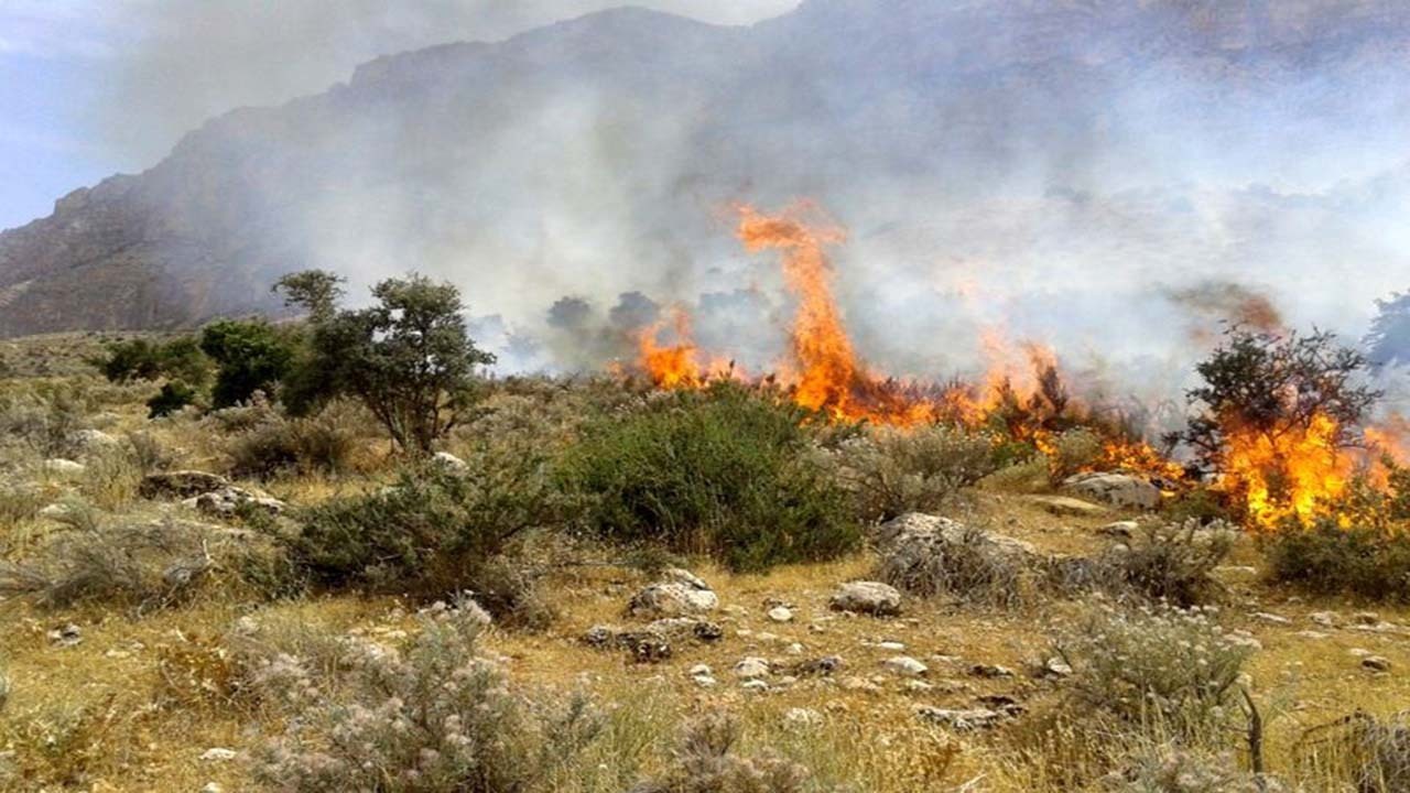 حریق در مراتع جنگل ابر شاهرود