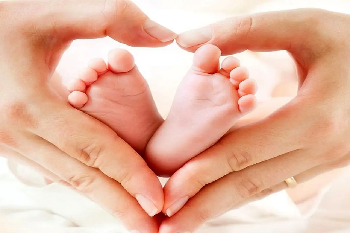 درخواست رئیس کمیسیون جوانی جمعیت برای ردهبندی استانها بر اساس نرخ باروری درخواست رئیس کمیسیون جوانی جمعیت برای ردهبندی استانها بر اساس نرخ باروری