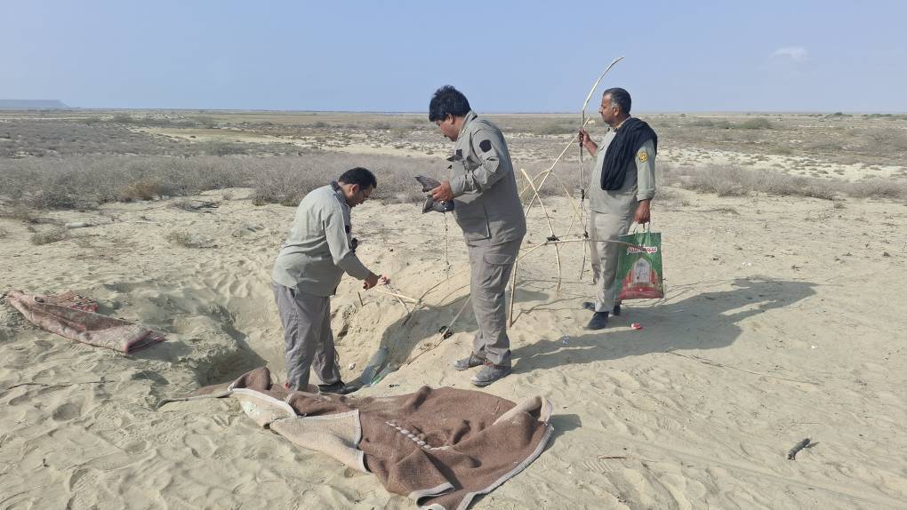 تشدید دستگیری شکارچیان غیرمجاز در فصل بازگیری