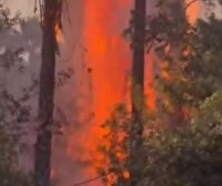 آتش سوزی در باغ تفریحی چشمه بلقیس چرام