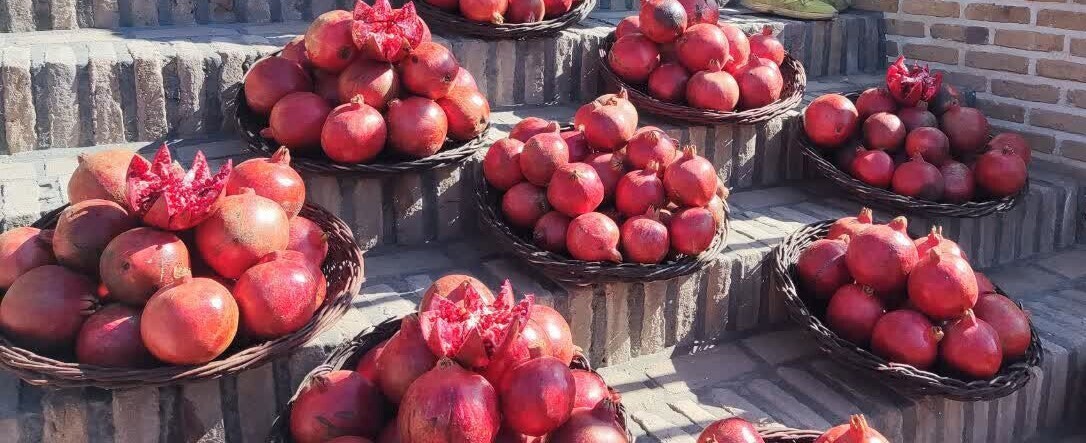 برگزاری اولین  «جشن اَنار» در شهرستان داورزن