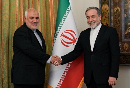 دیدار سفیر جدید جمهوری اسلامی ایران در هند با وزیر امور خارجه