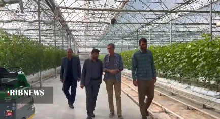 لزوم توسعه گلخانه‌ها برای صرفه‌جویی در مصرف آب در بناب