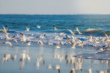 پیش بینی وضعیت جوی، دریایی ودمایی هرمزگان ۴ آبان پیش بینی وضعیت جوی، دریایی ودمایی هرمزگان ۴ آبان