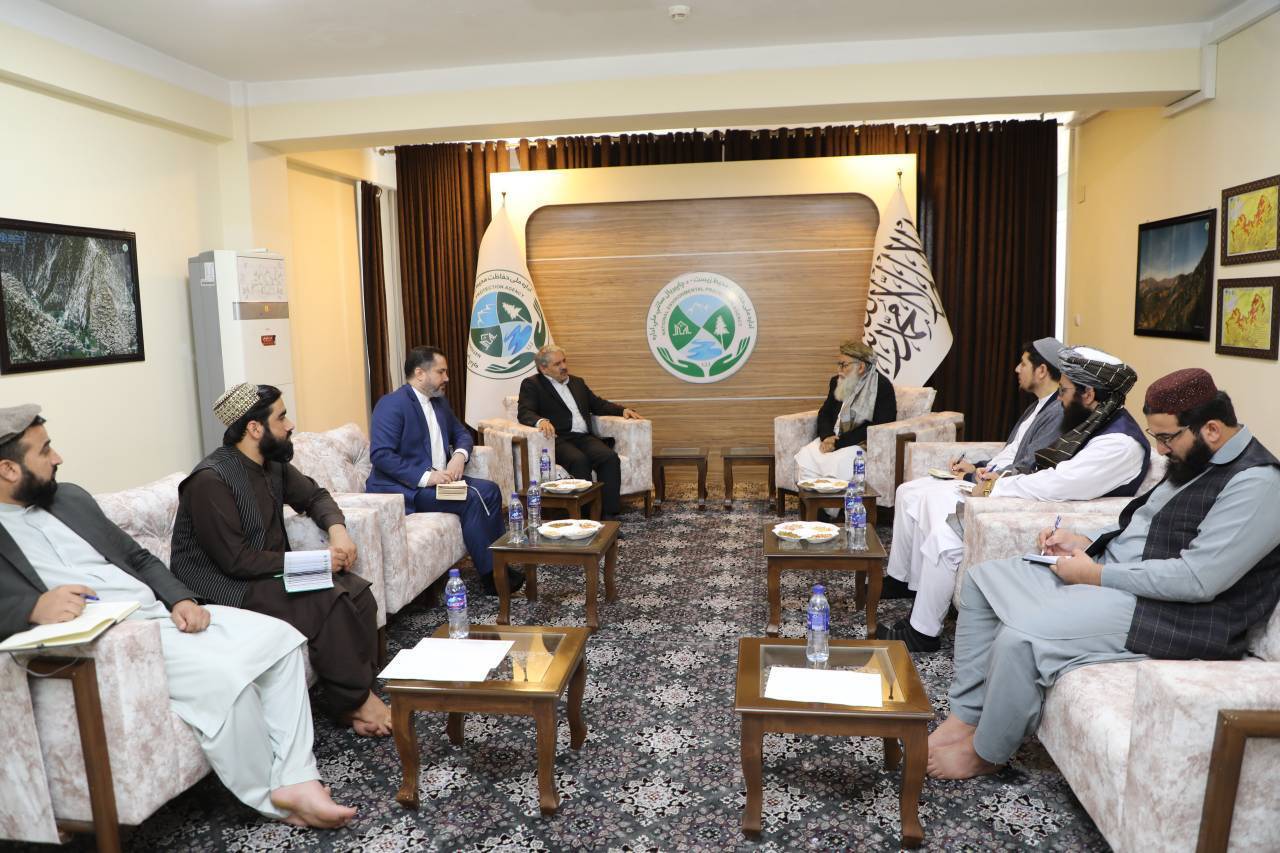 بررسی همکاری‌های ایران و افغانستان در حوزه محیط زیست